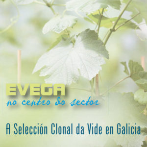 evega
